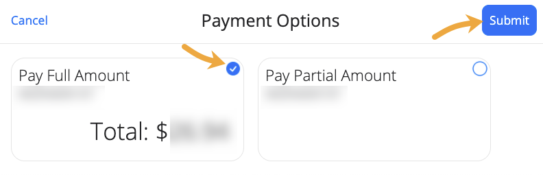 payment options section