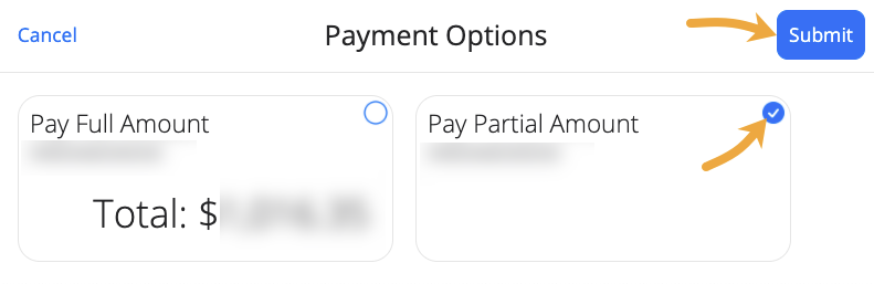pay partial amount feature