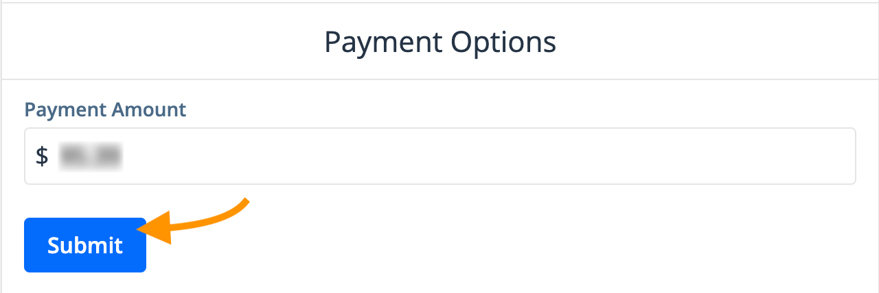 Enter payment amount feature
